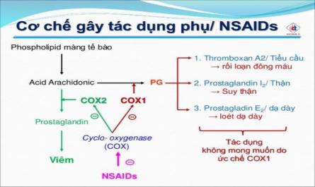 Giải phẫu sinh lý hệ thống tiêu hoá - ThS. BS. Trần Quang Thảo - 7