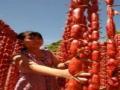 Giải phẫu sinh lý hệ thống tiêu hoá - ThS. BS. Trần Quang Thảo - 8