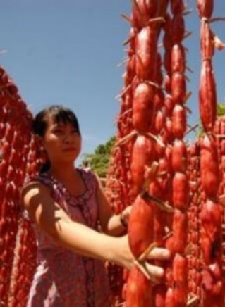 Thức ăn vào ruột non làm căng thành ruột Sự căng thành ruột → co bóp đồng 1