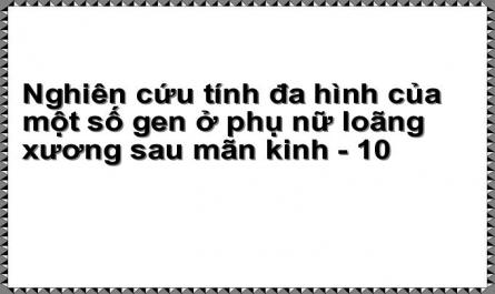 Đặc Điểm Mật Độ Xương Của Đối Tượng Nghiên Cứu
