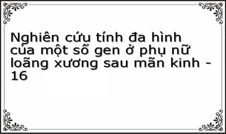 Mối Liên Quan Giữa Tính Đa Hình Của Một Số Gen Với Mật Độ Xương Và Một Số Yếu Tố Nguy