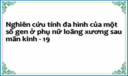 Nghiên cứu tính đa hình của một số gen ở phụ nữ loãng xương sau mãn kinh - 19