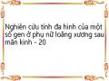 Nghiên cứu tính đa hình của một số gen ở phụ nữ loãng xương sau mãn kinh - 20