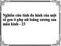 Nghiên cứu tính đa hình của một số gen ở phụ nữ loãng xương sau mãn kinh - 23