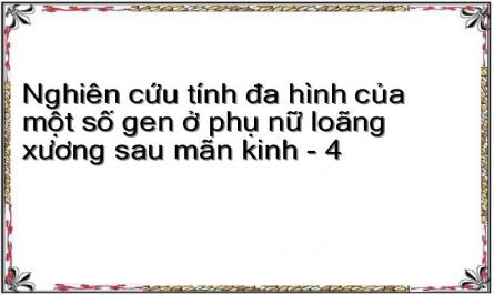 Dịch Tễ Học Loãng Xương Ở Phụ Nữ Sau Mãn Kinh