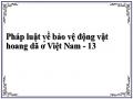 Giải Pháp Hoàn Thiện Các Quy Định Về Xử Lý Tang Vật, Cứu Hộ Động Vật Hoang Dã