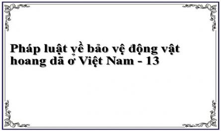 Giải Pháp Hoàn Thiện Các Quy Định Về Xử Lý Tang Vật, Cứu Hộ Động Vật Hoang Dã