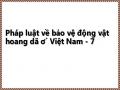 Pháp luật về bảo vệ động vật hoang dã ở Việt Nam - 7