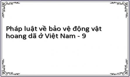 Thực Trạng Các Quy Định Về Xử Lý Tang Vật Và Cứu Hộ Động Vật Hoang Dã