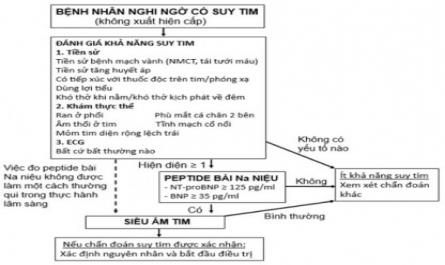 Đặc điểm lâm sàng, cận lâm sàng và tình trạng tuân thủ điều trị ở bệnh nhân suy tim có phân suất tống máu giảm trên 65 tuổi - 3