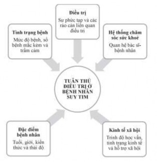 Hình 1 3 Các yếu tố có thể ảnh hưởng đến tình trạng tuân thủ điều trị a 1