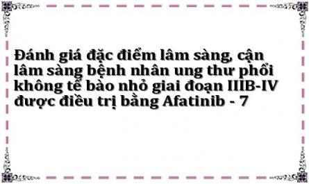 Đánh giá đặc điểm lâm sàng, cận lâm sàng bệnh nhân ung thư phổi không tế bào nhỏ giai đoạn IIIB-IV được điều trị bằng Afatinib - 7