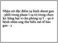 Nhận xét đặc điểm xạ hình shunt gan - phổi trong phase I xạ trị trong chọn lọc bằng hạt vi cầu phóng xạ Y – 90 ở bệnh nhân ung thư biểu mô tế bào gan - 2