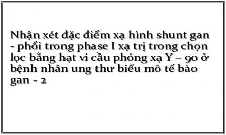 Nhận xét đặc điểm xạ hình shunt gan - phổi trong phase I xạ trị trong chọn lọc bằng hạt vi cầu phóng xạ Y – 90 ở bệnh nhân ung thư biểu mô tế bào gan - 2