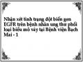 Nhận xét tình trạng đột biến gen EGFR trên bệnh nhân ung thư phổi loại biểu mô vảy tại Bệnh viện Bạch Mai - 1