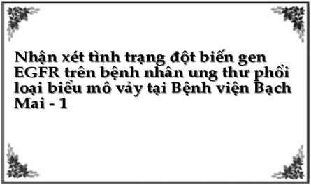 Nhận xét tình trạng đột biến gen EGFR trên bệnh nhân ung thư phổi loại biểu mô vảy tại Bệnh viện Bạch Mai - 1