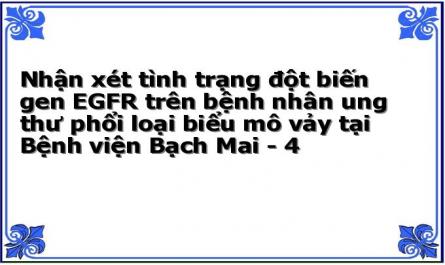 Đặc Điểm Lâm Sàng Và Cận Lâm Sàng Của Bệnh Nhân Utpbmv