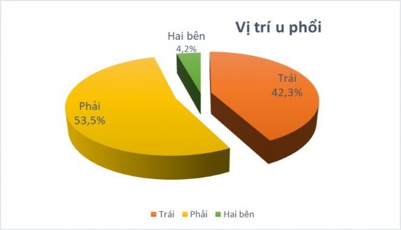 Hình 3 3 Vị trí u phổi Nhận xét vị trí khối u bên phải gặp nhiều hơn bên 1