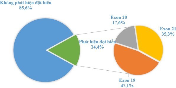 Hình 3 4 Tỷ lệ phát hiện đột biến gen EGFR Nhận xét Có 15 104 bệnh nhân mang 2