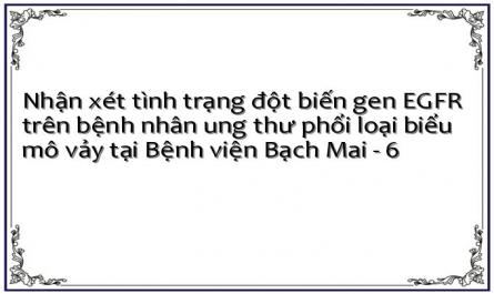 Mối Liên Quan Giữa Đột Biến Gen Egfr Với Vị Trí U