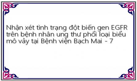 Nhận xét tình trạng đột biến gen EGFR trên bệnh nhân ung thư phổi loại biểu mô vảy tại Bệnh viện Bạch Mai - 7