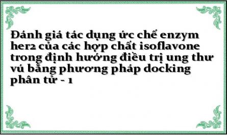 Đánh giá tác dụng ức chế enzym her2 của các hợp chất isoflavone trong định hướng điều trị ung thư vú bằng phương pháp docking phân tử - 1