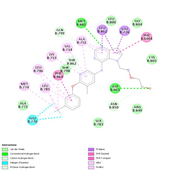 Hình 3 2 Tương tác 2D của ligand đồng kết tinh với 3pp0 Hình 3 3 cho thấy tương 3