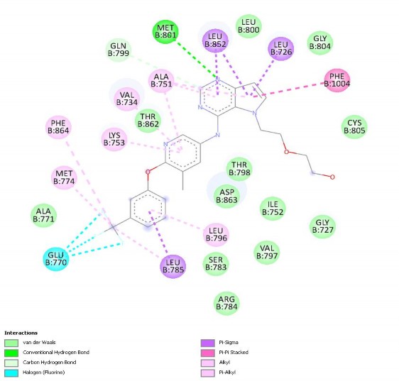 Hình 3 3 Tương tác 2D của ligand đồng kết tinh với 3pp0 sau re dock Như vậy đánh 4