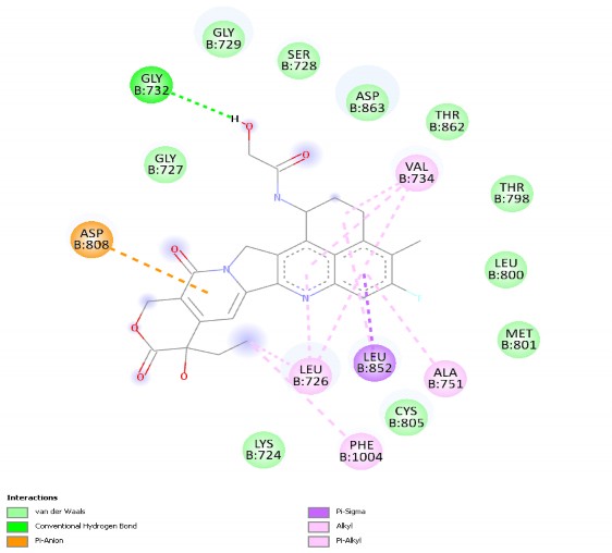 Hình 3 4 Tương tác Trastuzumab với protein 3pp0 3 2 Sàng lọc các hợp chất giống 1