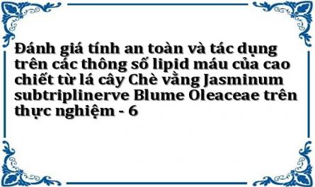 Đánh giá tính an toàn và tác dụng trên các thông số lipid máu của cao chiết từ lá cây Chè vằng Jasminum subtriplinerve Blume Oleaceae trên thực nghiệm - 6