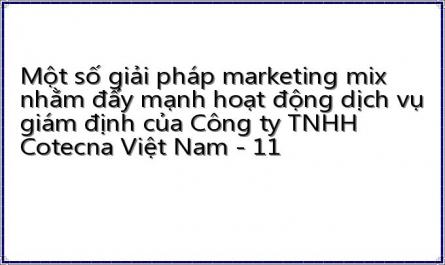 Một số giải pháp marketing mix nhằm đẩy mạnh hoạt động dịch vụ giám định của Công ty TNHH Cotecna Việt Nam - 11