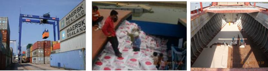 Hình ảnh 2 2 Hình ảnh minh họa dịch vụ giám định Nguồn Internet 2 1 3 Cơ 1