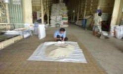 Hình 2 3 Hình ảnh minh họa các hoạt động trong dịch vụ giám định gạo 8