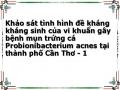 Khảo sát tình hình đề kháng kháng sinh của vi khuẩn gây bệnh mụn trứng cá Probionibacterium acnes tại thành phố Cần Thơ - 1