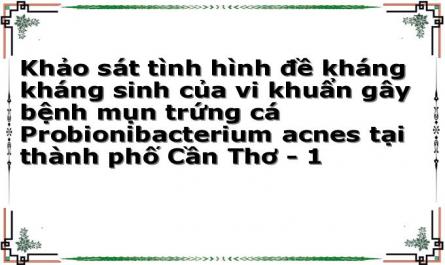 Khảo sát tình hình đề kháng kháng sinh của vi khuẩn gây bệnh mụn trứng cá Probionibacterium acnes tại thành phố Cần Thơ - 1