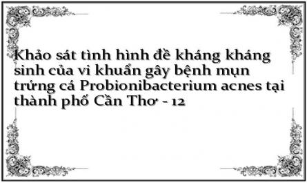 Khảo sát tình hình đề kháng kháng sinh của vi khuẩn gây bệnh mụn trứng cá Probionibacterium acnes tại thành phố Cần Thơ - 12