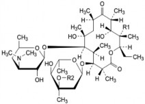 Hình 2 6 Công thức cấu tạo erythromycin Nguồn Dược điển Việt Nam IV Erythromycin 4