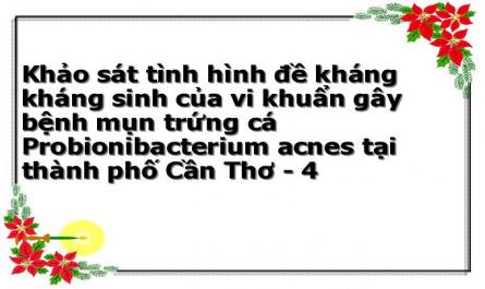 Tình Hình Sử Dụng Kháng Sinh Và Đề Kháng Kháng Sinh Hiện Nay