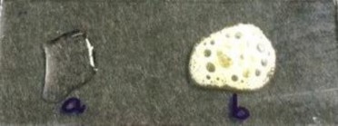 Hình 4 4 Thử nghiệm catalase trên dòng vi khuẩn phân lập a Đối chứng catalase âm 1