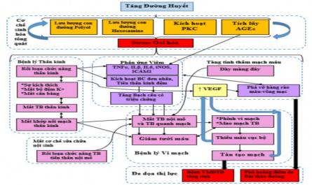 Khảo sát một số yếu tố liên quan bệnh võng mạc đái tháo đường type 2 tại Bệnh viện E năm 2020 – 2021 - 2