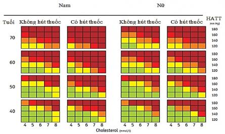 Nguy Cơ Tim Mạch 10 Năm Theo Who/ish Ở Bệnh Nhân Mắc Đtđ [91]