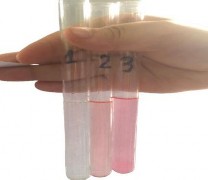 Hình 3 5 Hình ảnh kết quả đánh giá giới hạn tạp chất các kim loại nặng 2