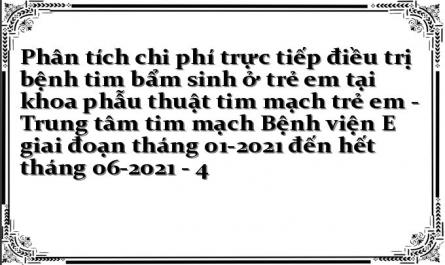 Tổng Hợp Các Nghiên Cứu Phân Tích Chi Phí Điều Trị Bệnh Tim Bẩm Sinh Tại Việt Nam.