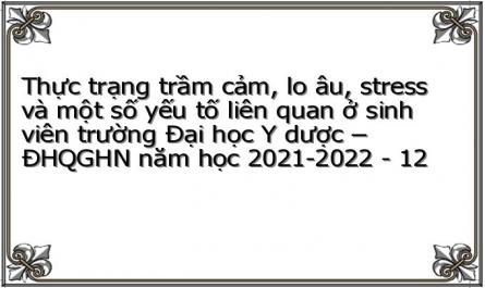 Thực trạng trầm cảm, lo âu, stress và một số yếu tố liên quan ở sinh viên trường Đại học Y dược – ĐHQGHN năm học 2021-2022 - 12