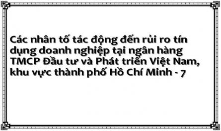 Thực Trạng Rủi Ro Tín Dụng Tại Ngân Hàng Tmcp Đầu Tư Và Phát Triển Việt Nam – Các Chi Nhánh