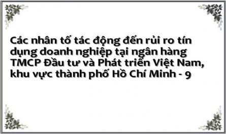 Các nhân tố tác động đến rủi ro tín dụng doanh nghiệp tại ngân hàng TMCP Đầu tư và Phát triển Việt Nam, khu vực thành phố Hồ Chí Minh - 9