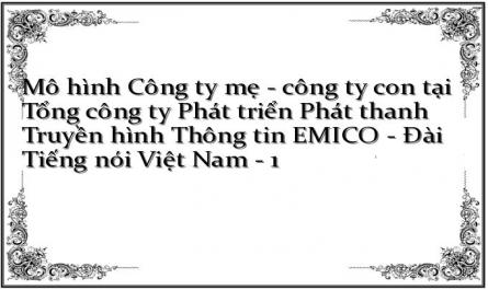 Mô hình Công ty mẹ - công ty con tại Tổng công ty Phát triển Phát thanh Truyền hình Thông tin EMICO - Đài Tiếng nói Việt Nam - 1