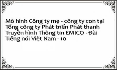 Mô hình Công ty mẹ - công ty con tại Tổng công ty Phát triển Phát thanh Truyền hình Thông tin EMICO - Đài Tiếng nói Việt Nam - 10