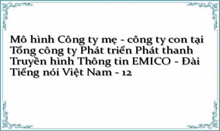 Giải Pháp Hoàn Thiện Và Phát Triển Mô Hình Công Ty Mẹ – Công Ty Con Tại Emico.