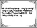 Mô hình Công ty mẹ - công ty con tại Tổng công ty Phát triển Phát thanh Truyền hình Thông tin EMICO - Đài Tiếng nói Việt Nam - 13